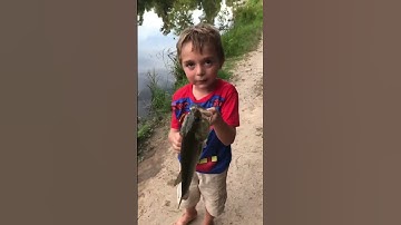 Thumbnail of The greatest fishing video ever 😂