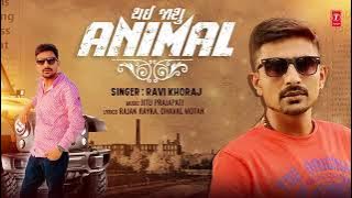 Thayi Jasu Animal | Ravi Khoraj | New Gujarati attitude Song | New Gujarati Song 2023