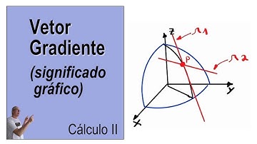 GRINGS - VETOR GRADIENTE (significado gráfico) - Cálculo II