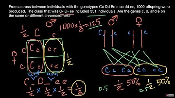 How to find if genes on the same chromosome or not?