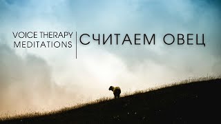 Считаем овец перед сном шепоток с голосом
