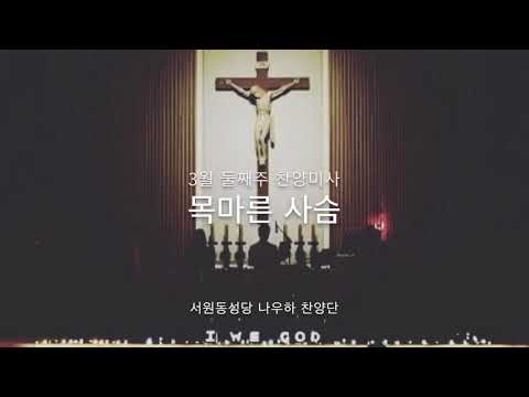 영상썸네일