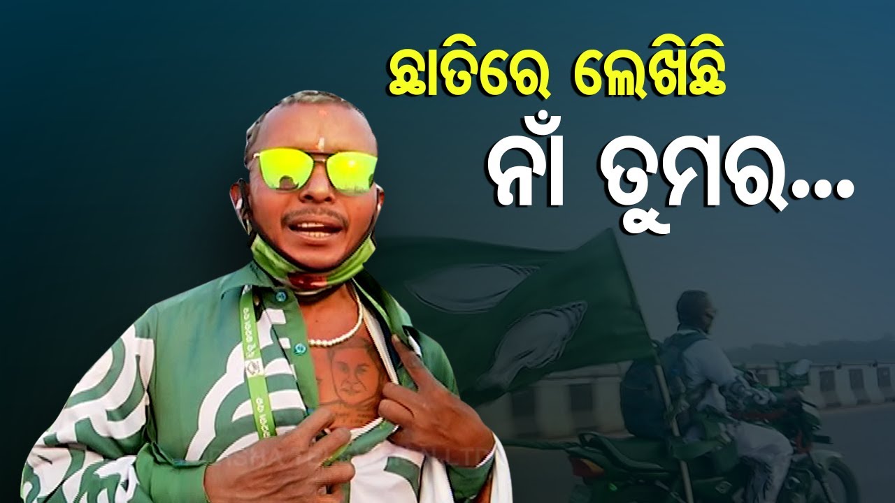 News Fuse - A BJD Fan Like No Other