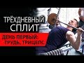 Трехдневный сплит для мужчин. День первый: грудь, трицепс