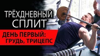 Трехдневный сплит для мужчин. День первый: грудь, трицепс