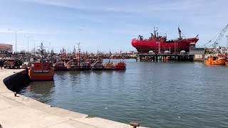 Mar Del Plata Walking Tour — Argentina Video Walk 🇦🇷