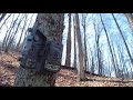 Game Cam - Whats on the Ridge