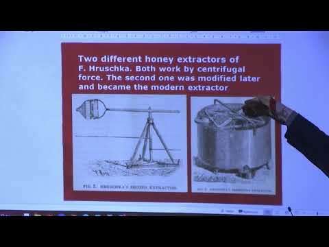 CHEM 491 -