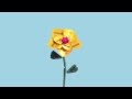 Twinings advert 2016  twinings flowers