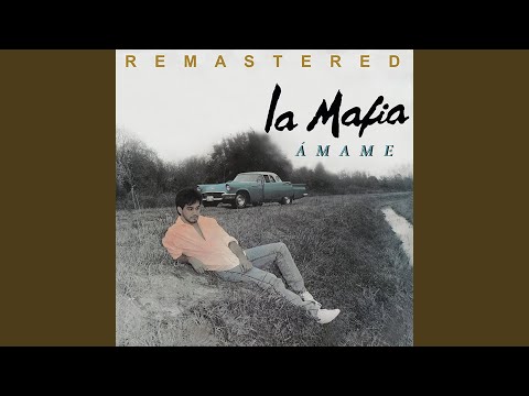Putar El Rey De Los Tontos - La Mafia