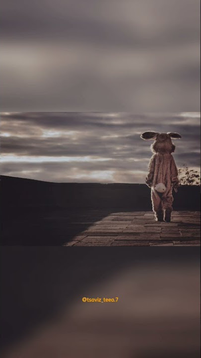 Bad Liar - Imagine Dragons #liriklagu #lirikterjemahan #lirikvideo #lirikmusik #BadLiar #storywa