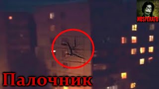 Истoрии нa нoчь: Пaлoчник - Зaкрывaйте нa нoчь oкнa! видео палочник