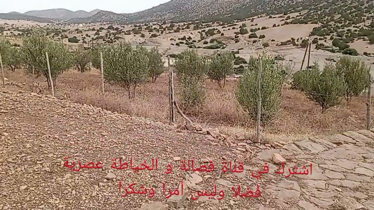 منضر جميل جدا من تغدوين إقليم بولمان 