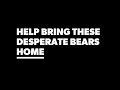 BREAKING: BEAR RESCUE HAPPENING SOON