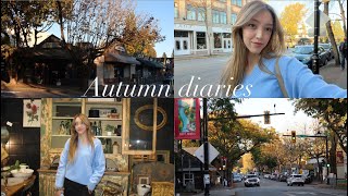 Cozy Fall Vlog | autumn weekend in Canada, small town and cute shops 🤎ྀིྀི