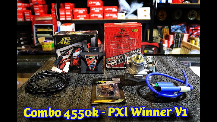 Winner v1 pxl giá bao nhiêu