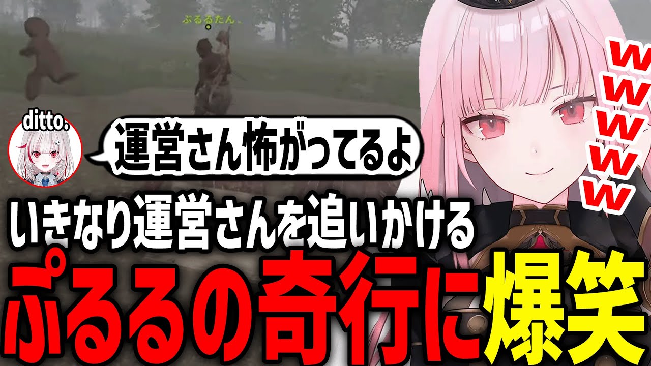 【VCR RUST】運営さんを追いかけ回すぷるるに、大爆笑するカリオペとdtto.【ホロライブ/切り抜き/森カリオペ/天鬼ぷるる/dtto.】