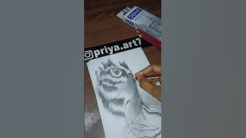 Transition with my art 🤩#shorts #drawing #ytshorts #artistdrawing #trending #transition #viralvideo