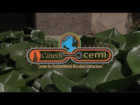 Caltech CEMI Video