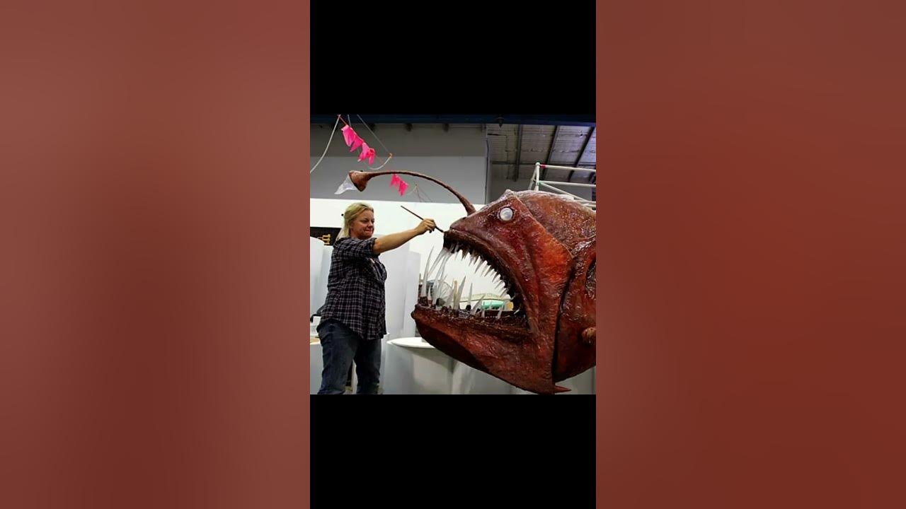 Female Anglerfish can get Huge