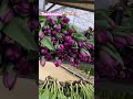 Тюльпаны оптом +77056786666 Кирилл