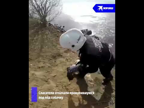 Спасли и откачали