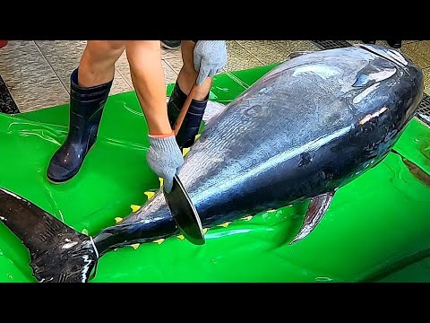 東港美食 - 巨大黑鮪魚上岸切割GIANT BLUEFIN TUNA CUTTING /曾鮮黑鮪魚專賣店