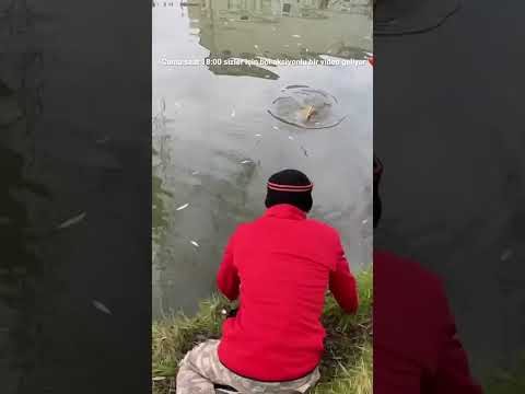 Şamandıralı sazan avı