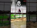 পর্দার সেই চিরসবুজ নায়ক, আজ কেন নিথর হলো? Rahul Arunoday Banerjee / priyanka