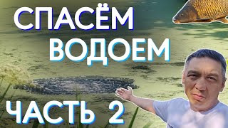 Спасем водоем часть 2. Продолжаем спасать заросший водоем бюджетными способами.