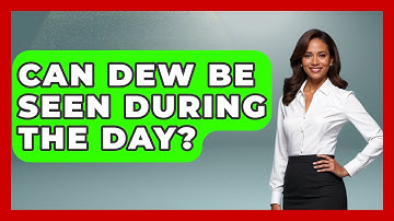Can Dew Be Seen During The Day? - Weather Watchdog