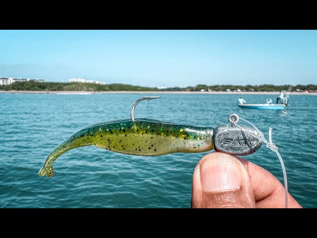 SEÑUELOS para PESCA de Mojarras en Agua Salada 