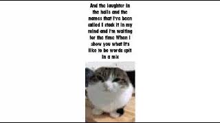 Imagine Cats Enemy