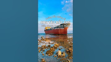 Hướng dẫn đường đi checkin Con Tàu mắc cạn hot hit ở Ninh Thuận đẹp tựa phim Hàn #toiladansaigon