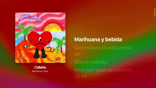 Bad Bunny & Tainy – Callaíta (Lyrics) | Str8Lyrical