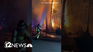 Palm tree in Scottsdale struck by lightning, catches fire