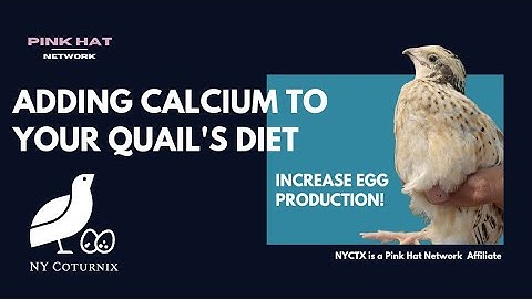 Adding Calcium to Your Coturnix Quail