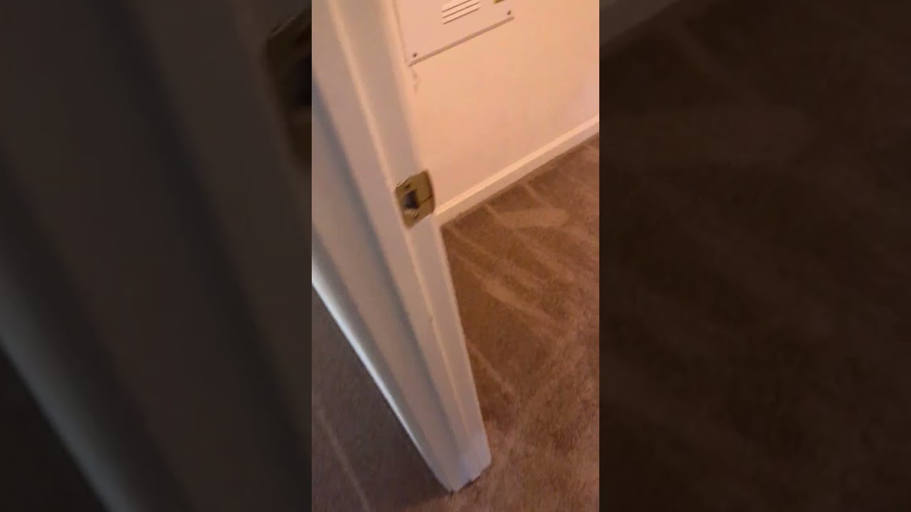 Rental house flooring - 1/18/24