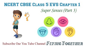 Super Senses | Hindi Explanation | NCERT | CBSE | Class 5 | EVS | Chapter 1 | Part 3
