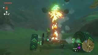 I Dont Like Korok Poop