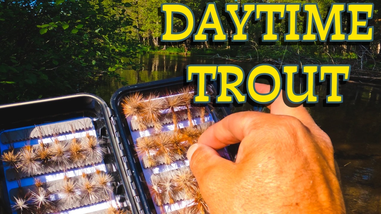 Summer Fly-Fishing