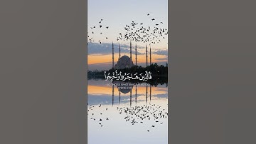 سورة آل عمران {الآية 195} بصوت الشيخ ماهر المعيقلي ❤️❤️