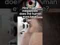 How many megapixels does the human eye have?