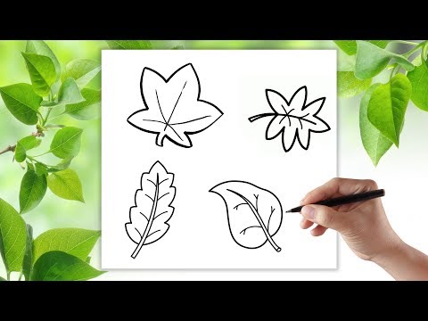 Wideo: Jak Narysować Liść