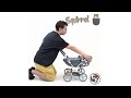 509 Crew - Squirrel Carol Pram