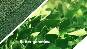 Enlist E3™ Soybeans - Better Beans. Better System. | Corteva Agriscience Canada