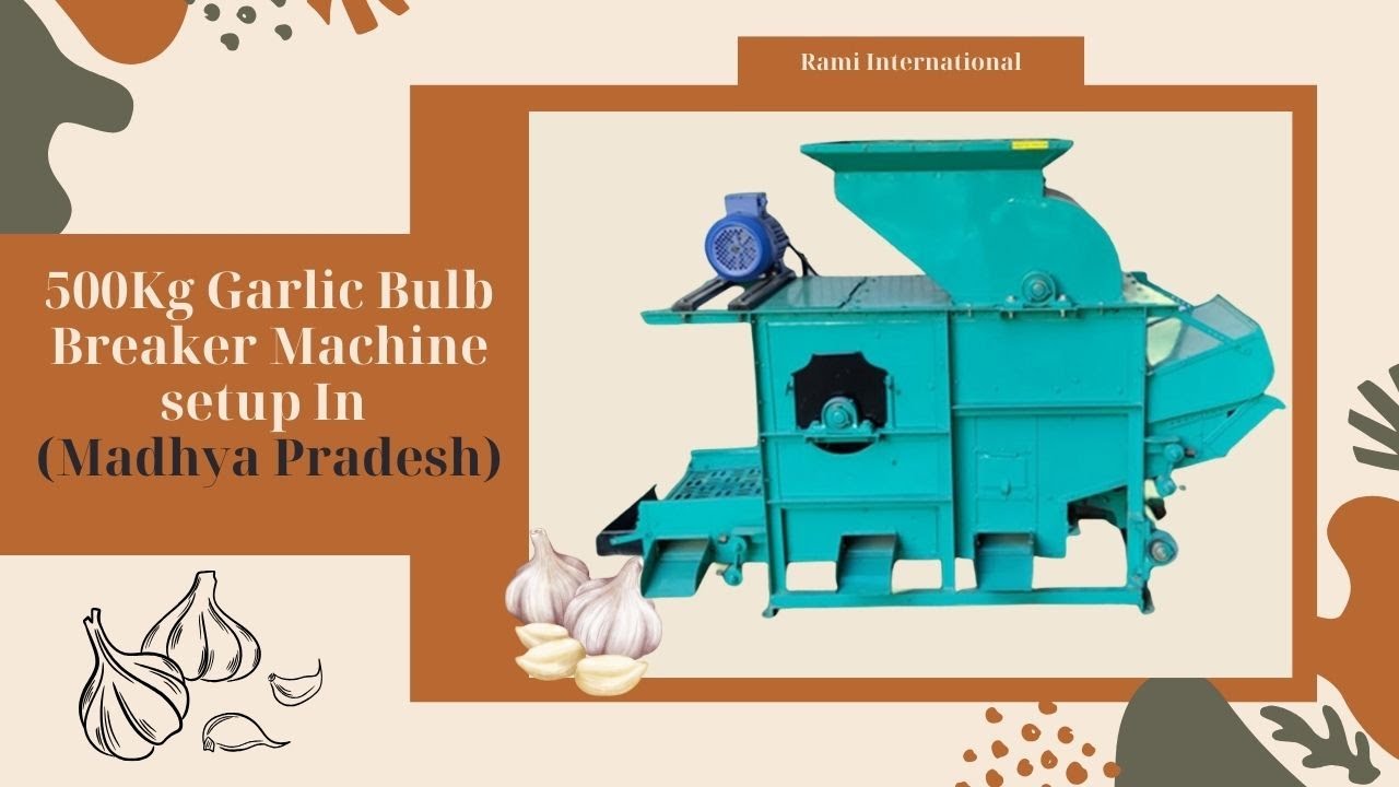 Garlic Bulb Breaker Machine In Madhya Pradesh🧄Capacity: 500 KG HOUR🧄लहसुन की कली करने की मशीन #rami