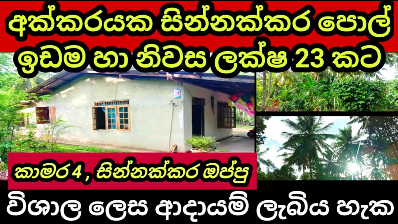 Coconut land for sale House for sale in sri lanka Aduwata idam