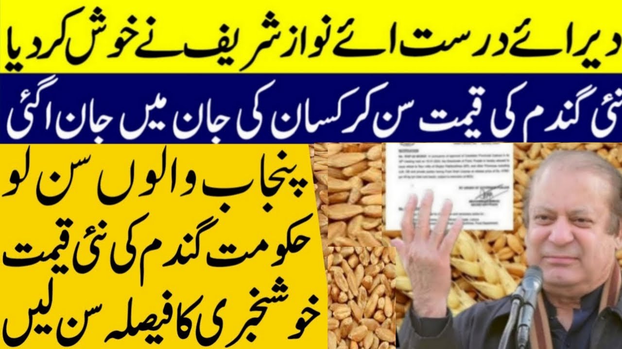 Today Wheat price in punjab | گندم کا ریٹ 2025 | Gandam Ka rate 2025 ...