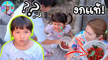 เล่นขายของหน้าบ้าน ฝึกฝนให้รู้จักแบ่งปัน | Omelet Kids Club